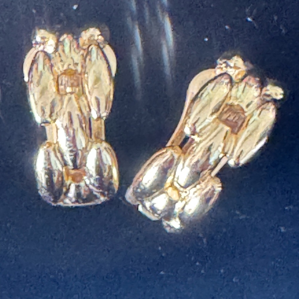 Beautiful Gold Tone Dior Clip-On Earrings